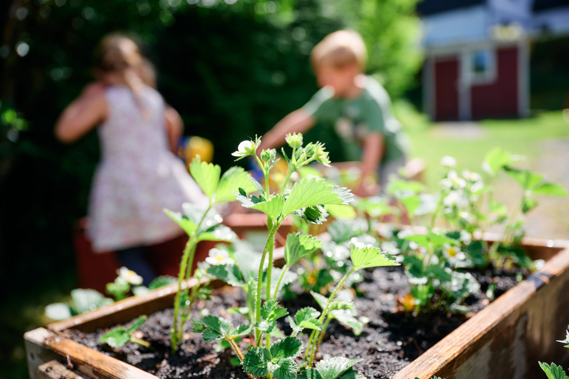 Außengelände (2) KiTa Meisennest | Kids